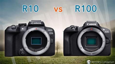 Whats the difference between the Canon EOS XXXD and。